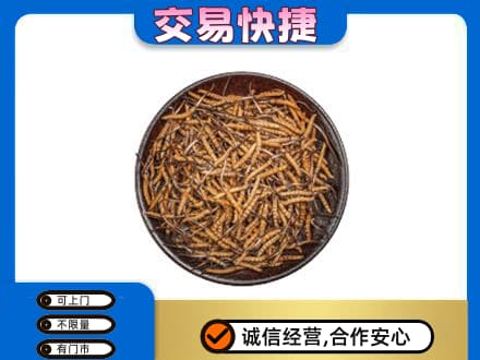 江口县回收散虫草